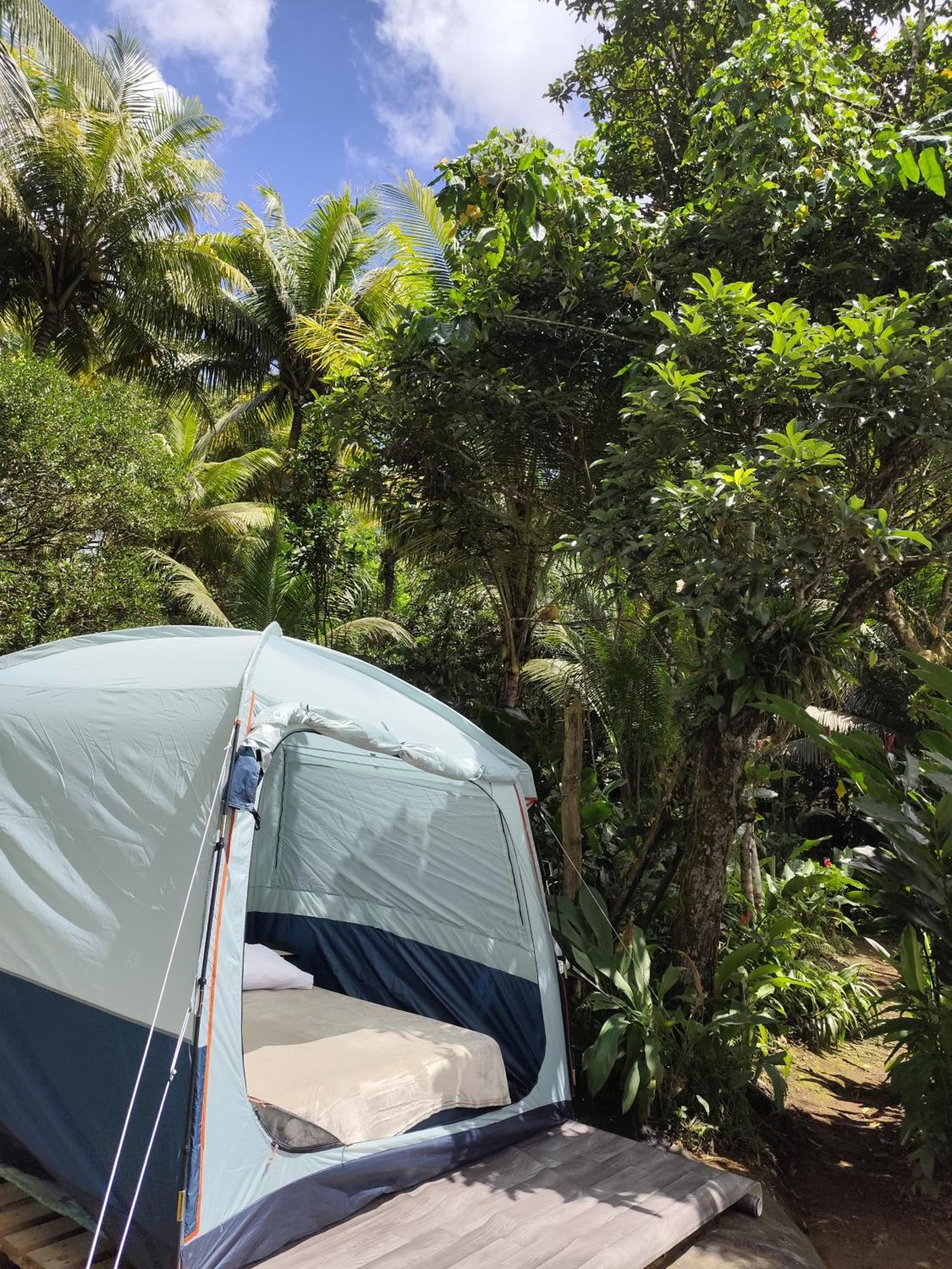 Camping A La Ferme Gros-Morne Ngoại thất bức ảnh