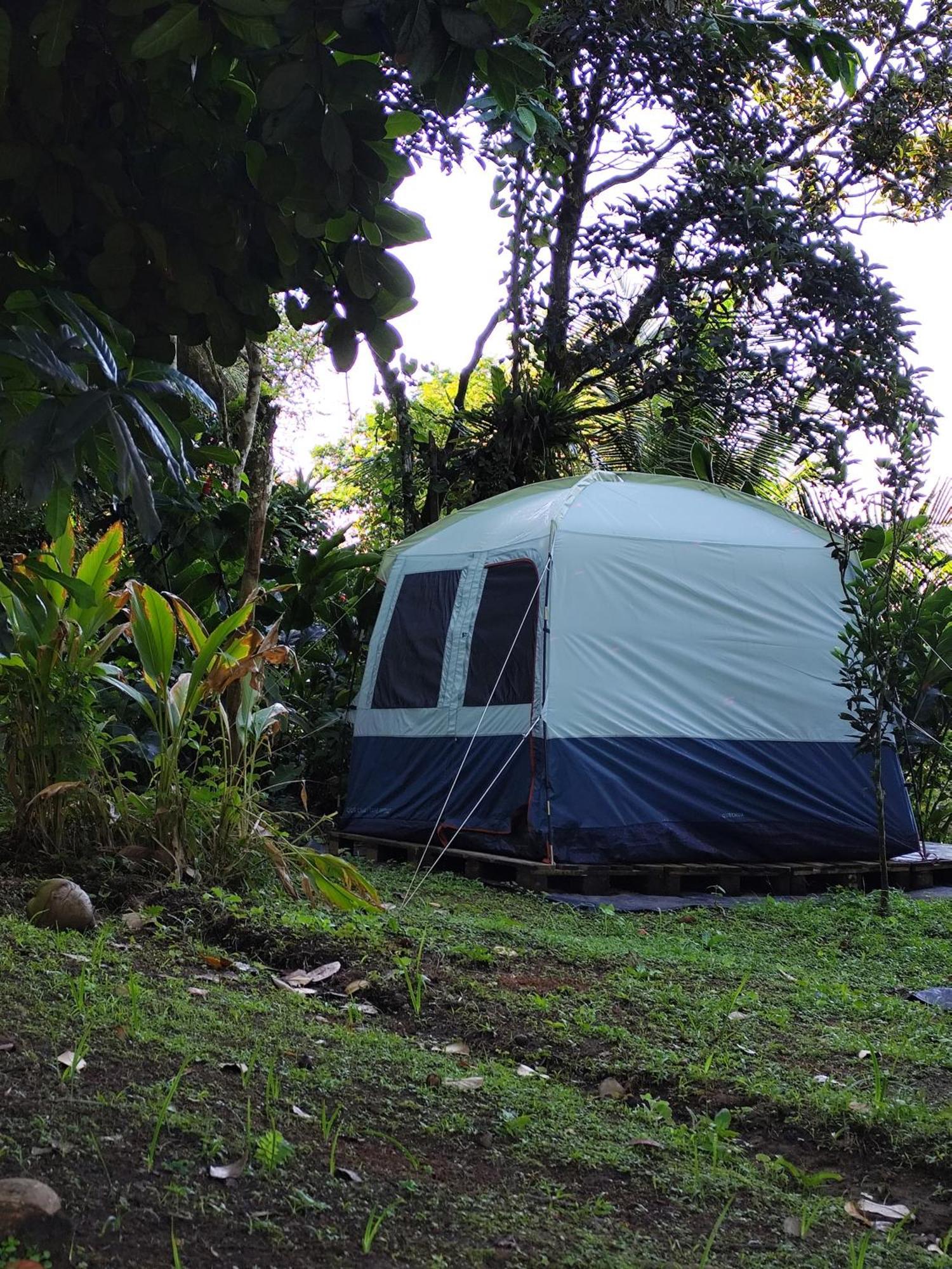 Camping A La Ferme Gros-Morne Ngoại thất bức ảnh