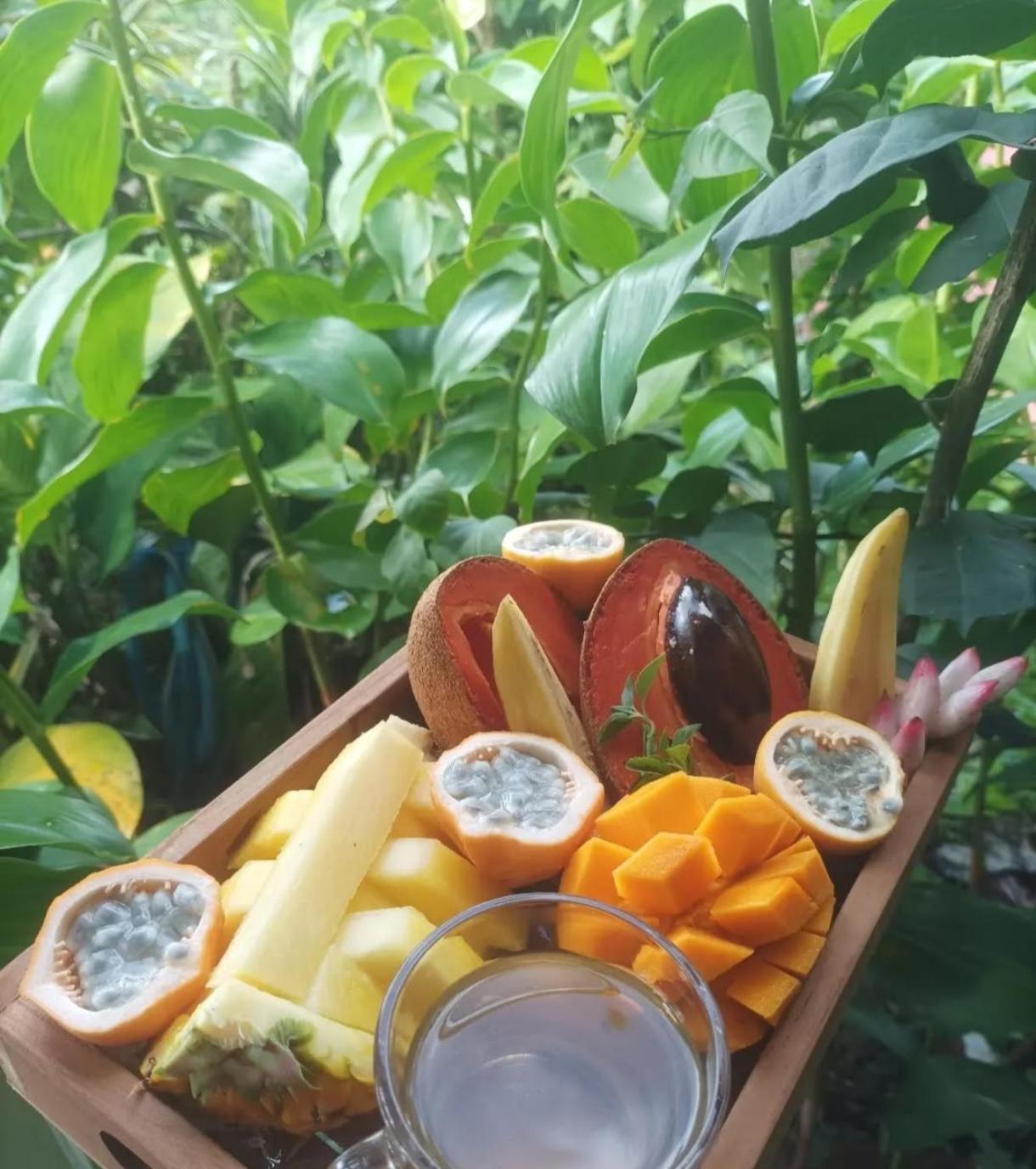 Camping A La Ferme Gros-Morne Ngoại thất bức ảnh